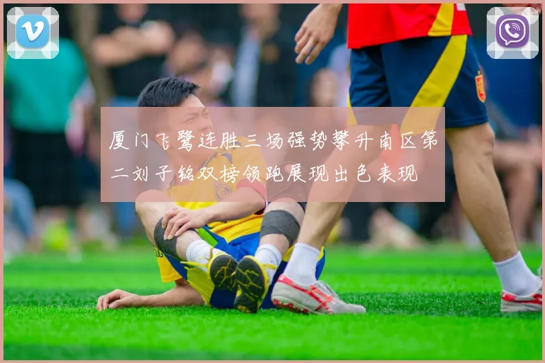 厦门飞鹭连胜三场强势攀升南区第二刘子铭双榜领跑展现出色表现